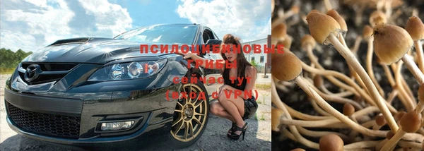 спиды Абинск