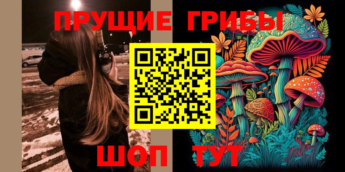 Псилоцибиновые грибы Psilocybe  Вход с VPN  Грозный 